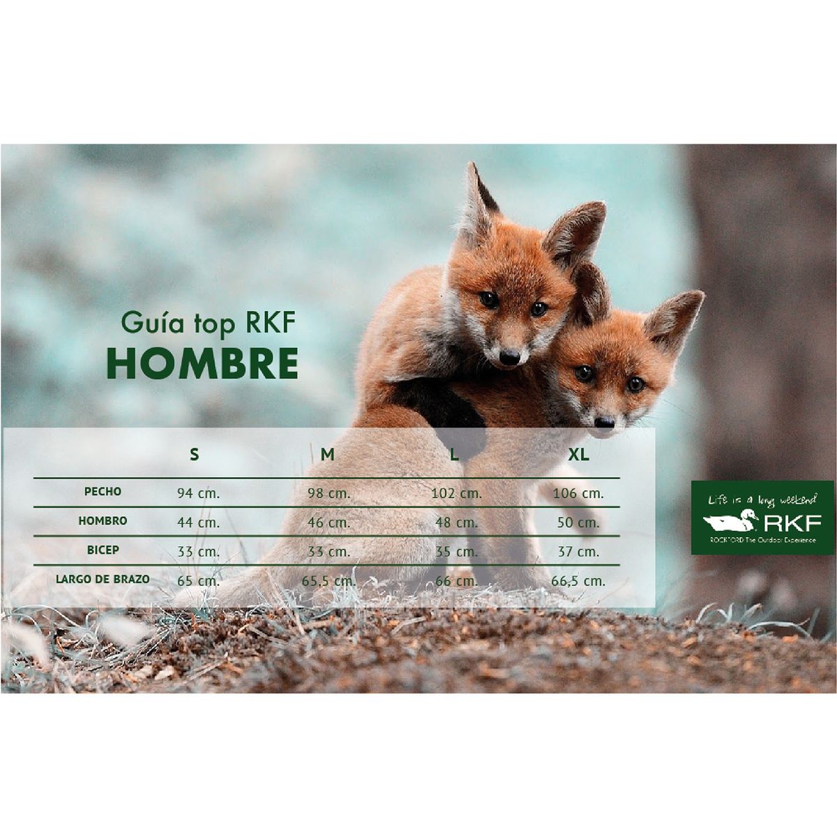 ROCKFORD - Camisa Algodón Orgánico Azul Lighter Hombre ROCKFORD