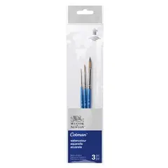 WINSOR AND NEWTON - Set 3 Pinceles Cotman Winsor & Newton Mango Corto V2