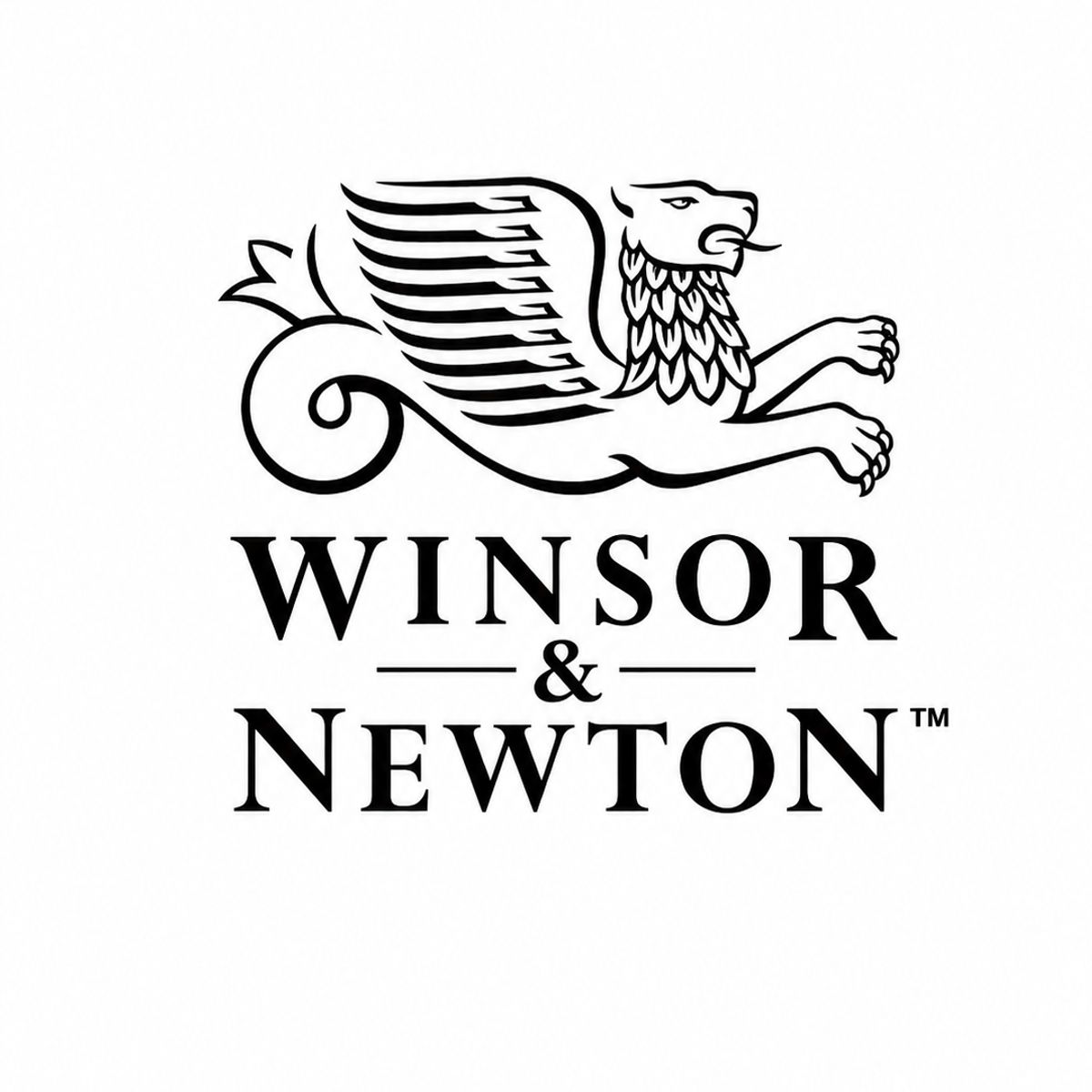 WINSOR AND NEWTON - Set 3 Pinceles Cotman Winsor & Newton Mango Corto V2