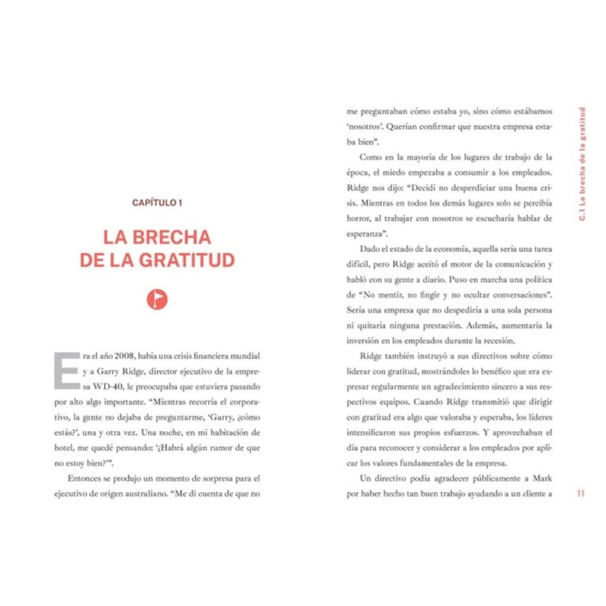 VERGARA Y RIBA - Libro LIDERA CON GRATITUD
