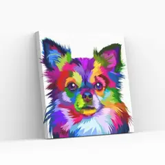 GENERICO - Diamond Painting en bastidor 30x30cm Pome Pop