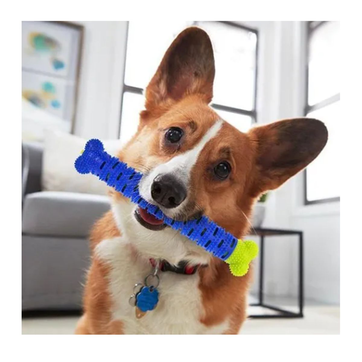 GENERICO - Hueso De Juguete Para Mascotas Limpiador Dental Perros