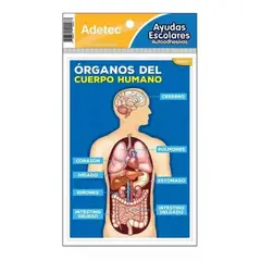 ADETEC - Ayuda Escolar Cuerpo Humano Adhesiva