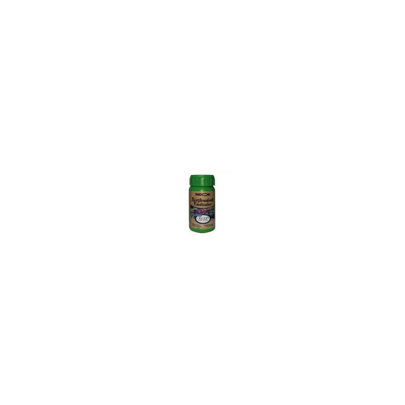 ANASAC - BIOESTIMULANTE RADICULAR INDOOR ANASAC 180CC
