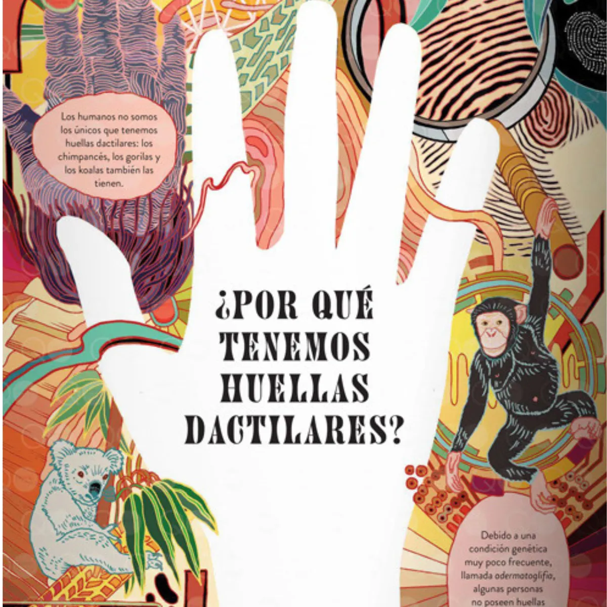 EDITORIAL CONTRAPUNTO - Misterios y Curiosidades