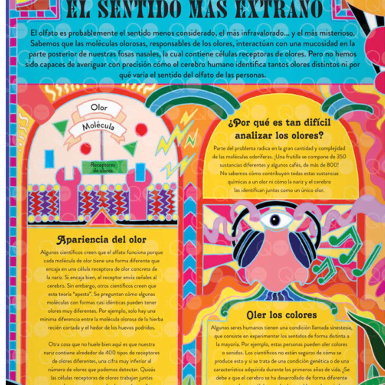 EDITORIAL CONTRAPUNTO Misterios y Curiosidades | falabella.com