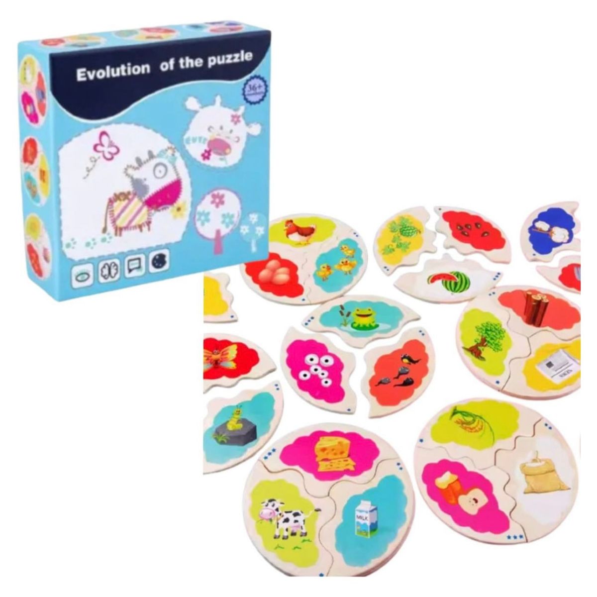 GENERICO - Rompecabezas Didáctico Madera Ciclo Evolutivo Niños