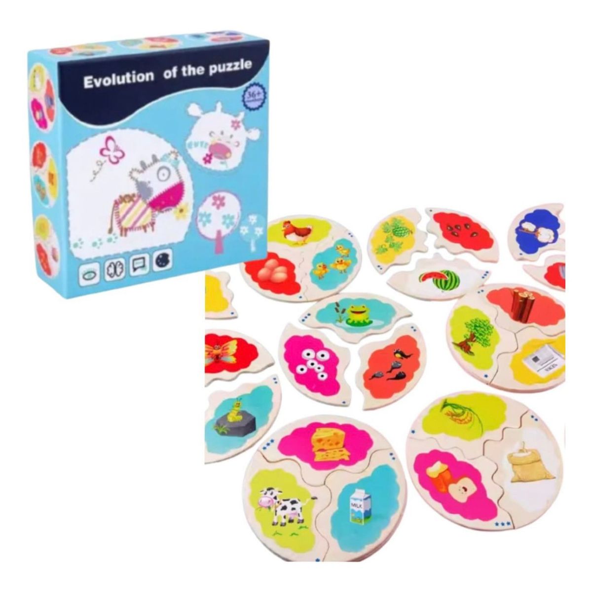 GENERICO - Rompecabezas Didáctico Madera Ciclo Evolutivo Niños