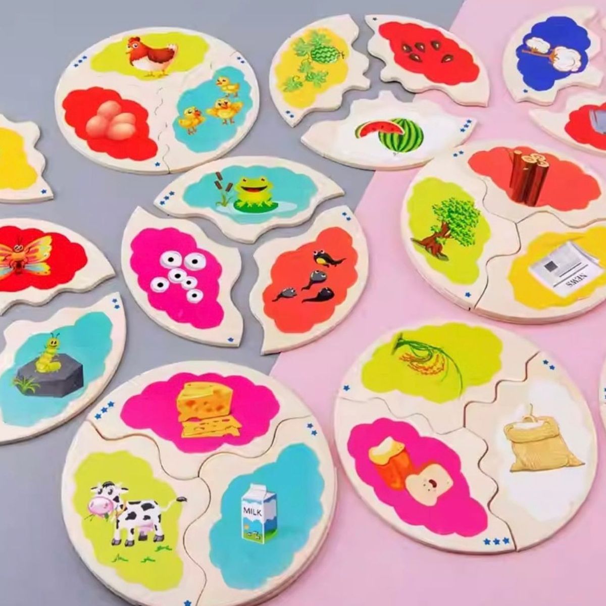 GENERICO - Rompecabezas Didáctico Madera Ciclo Evolutivo Niños