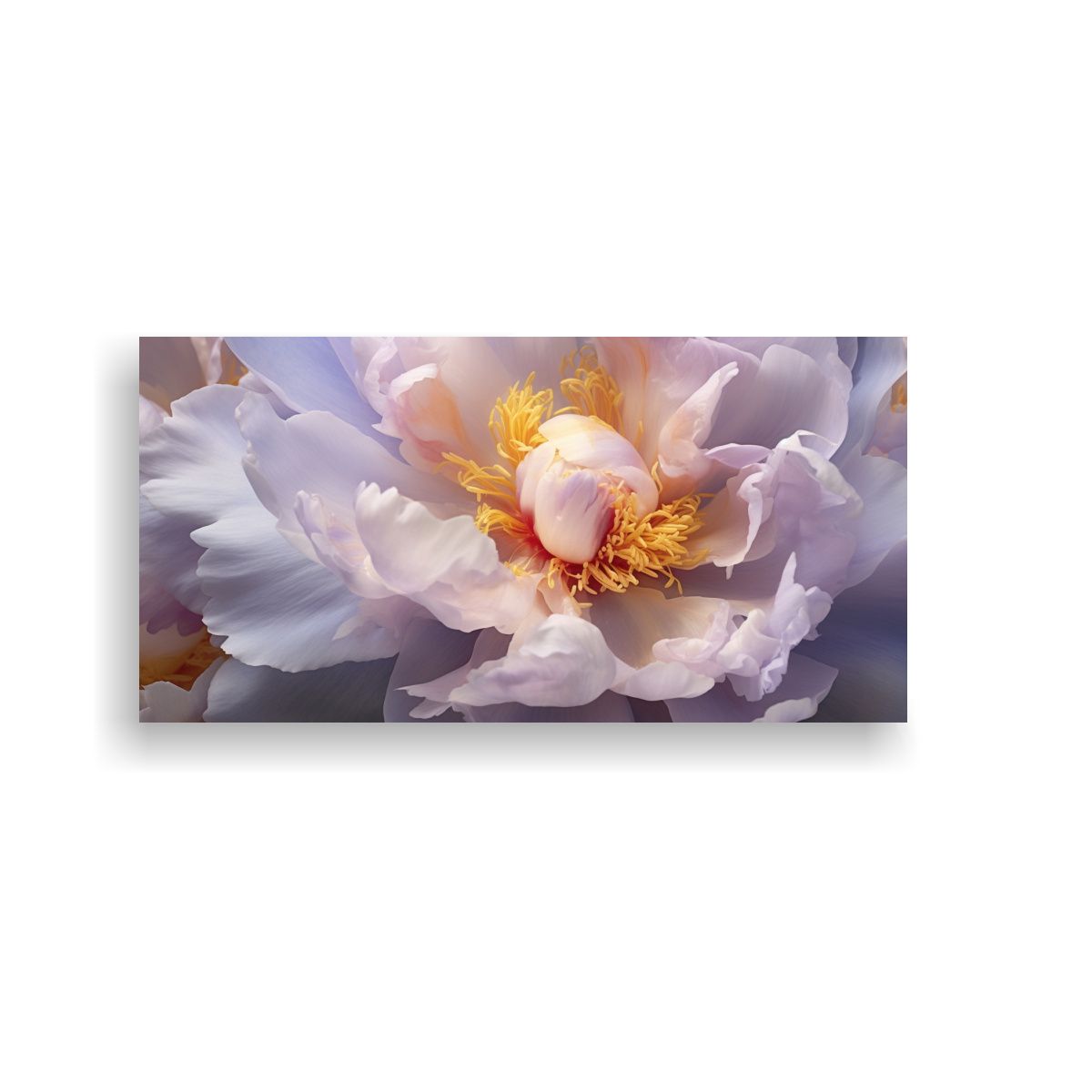 GENERICO - Lienzo De Tela Peonías Suaves Amarillo Realismo 160x80cm