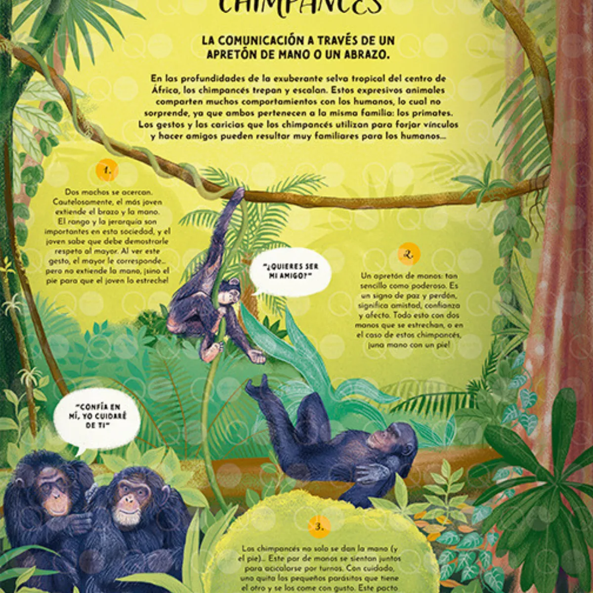 EDITORIAL CONTRAPUNTO - El Lenguaje de la Naturaleza