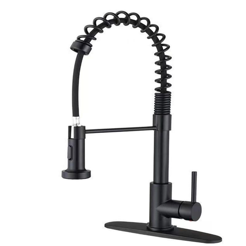 PAGANOOM - Negro Acero inoxidable Grifo de cocina 360° Giro Palanca