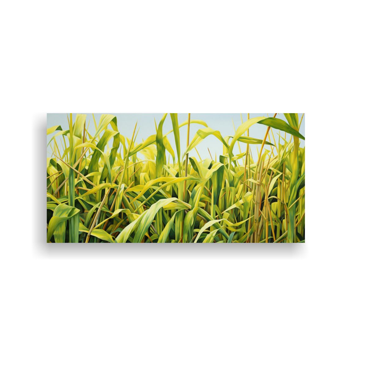 GENERICO - Pintura Abstracta De Alta Calidad En Estilo óleo  160x80cm