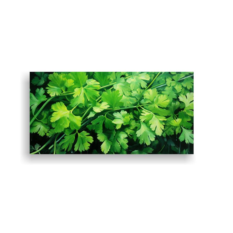 GENERICO - Pintura Abstracta De Hierbas En Tonos De Cilantro 160x80cm