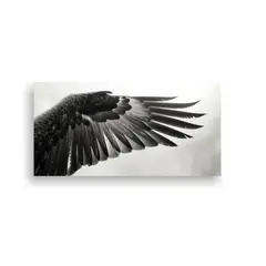GENERICO - Pinturas Decorativas En Blanco Y Negro De águilas 160x80cm