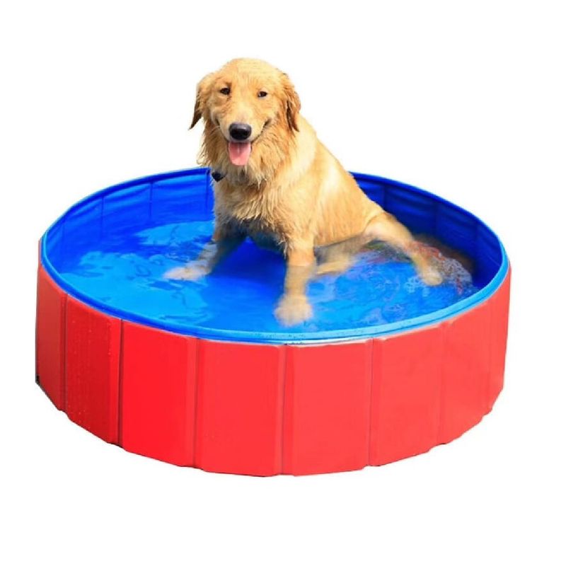 ANGELES DEL HOGAR - Piscina Bañera Plegable para Perro 80x20cm