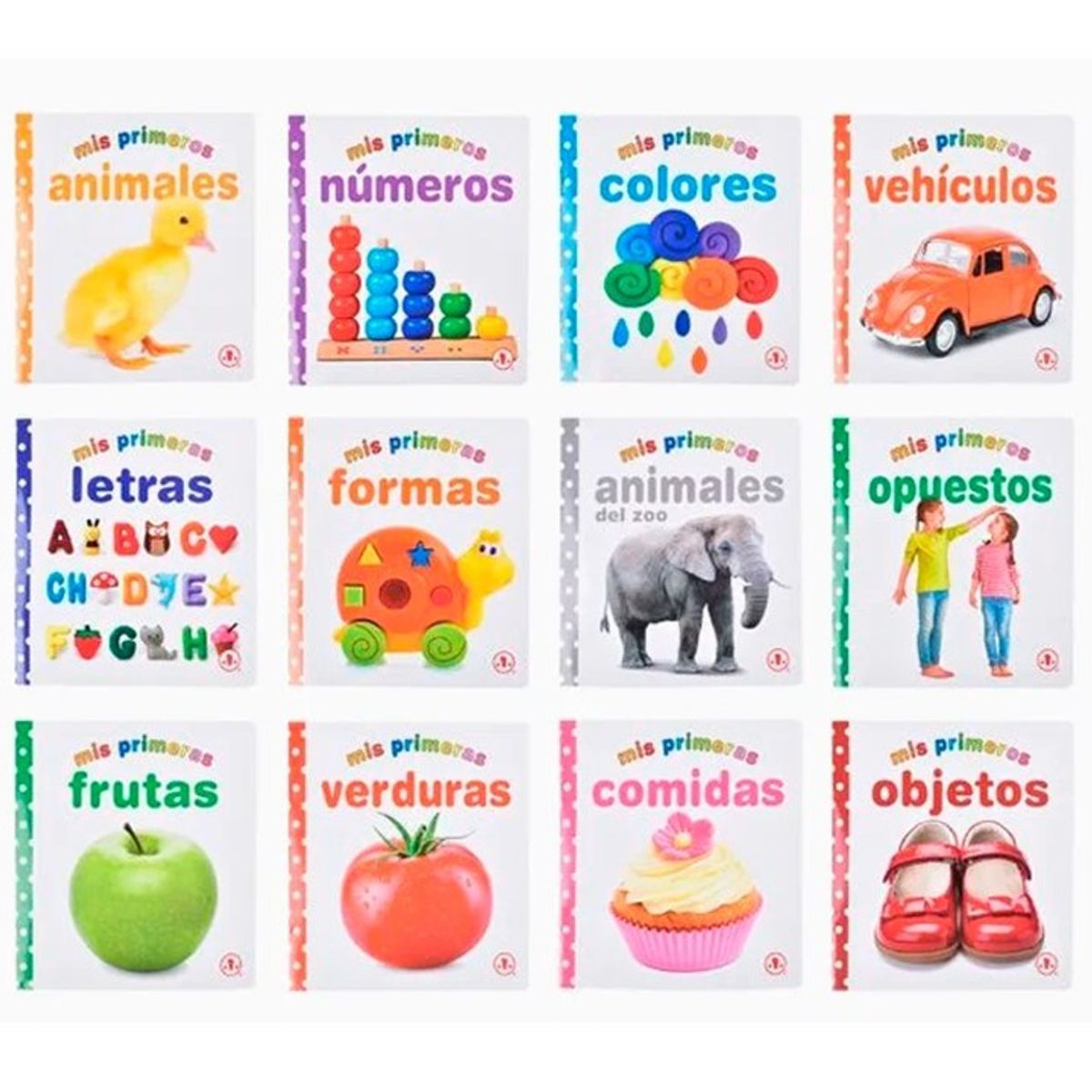 GENERICO - Libro de Alfabetización 169×178cm