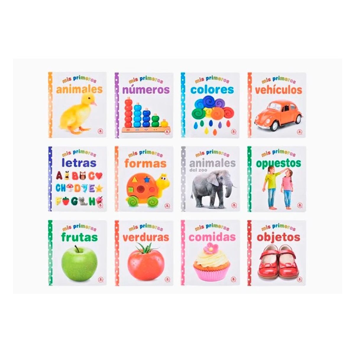 GENERICO - Libro de Alfabetización 169×178cm