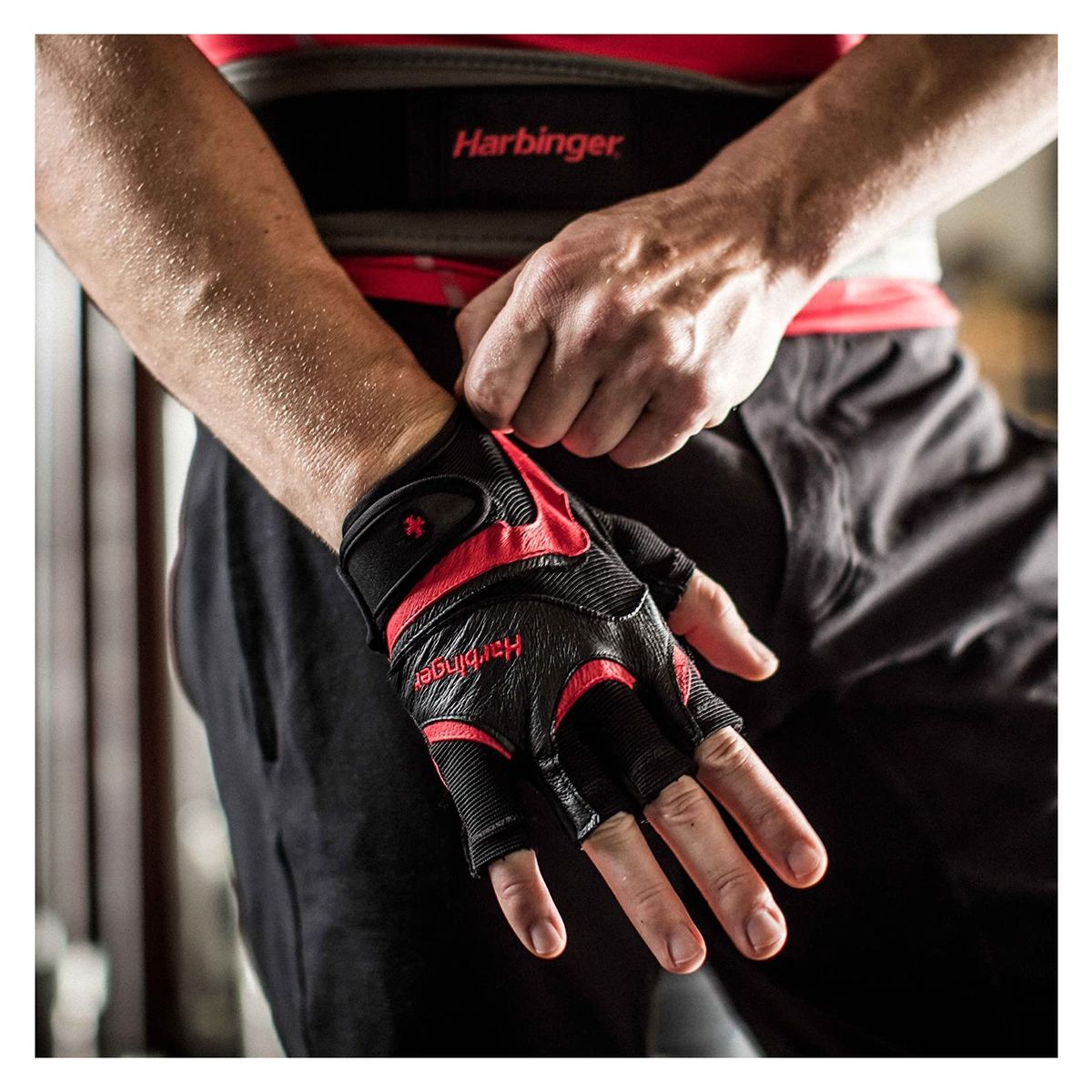 HARBINGER - Guantes De Gimnasio Para Pesas Harbinger Pro M Black