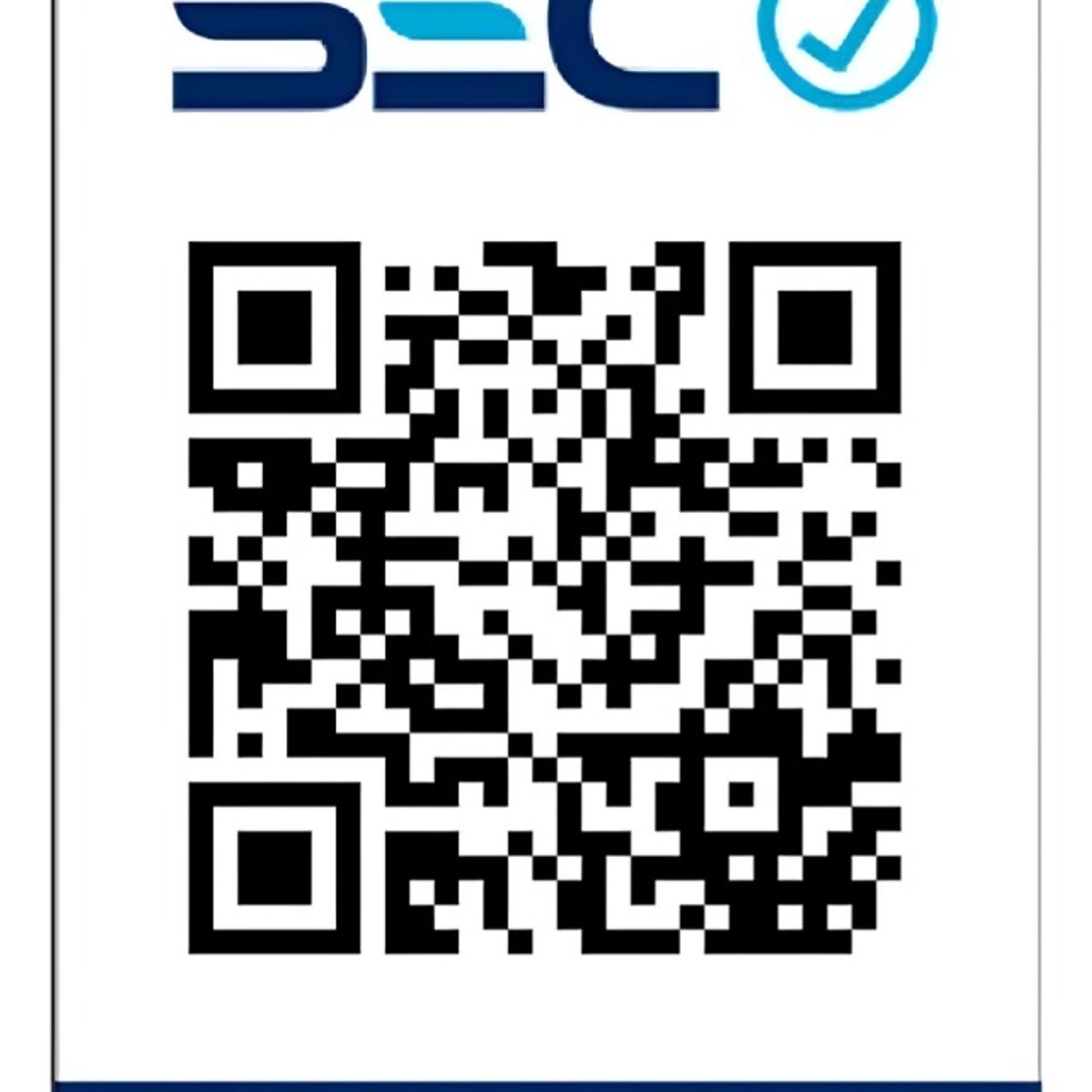 BLAUPUNKT - COCINILLA ELÉCTRICA  BP-AE12900 BLAUPUNKT