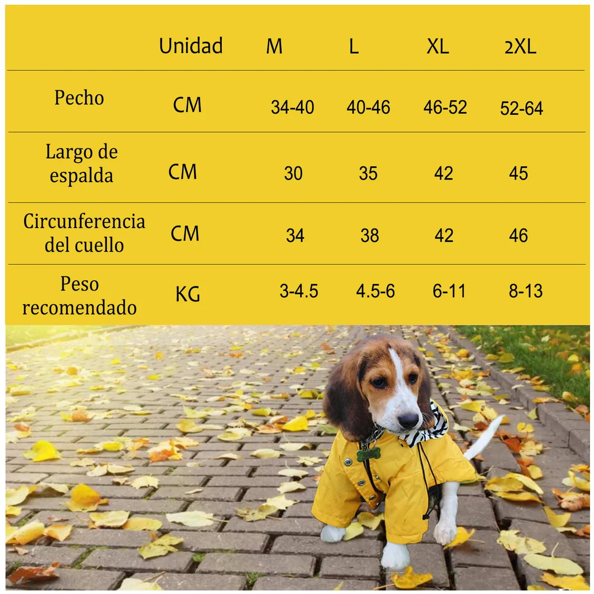 PAGANOOM - Chubasquero para perros con cremallera - XL