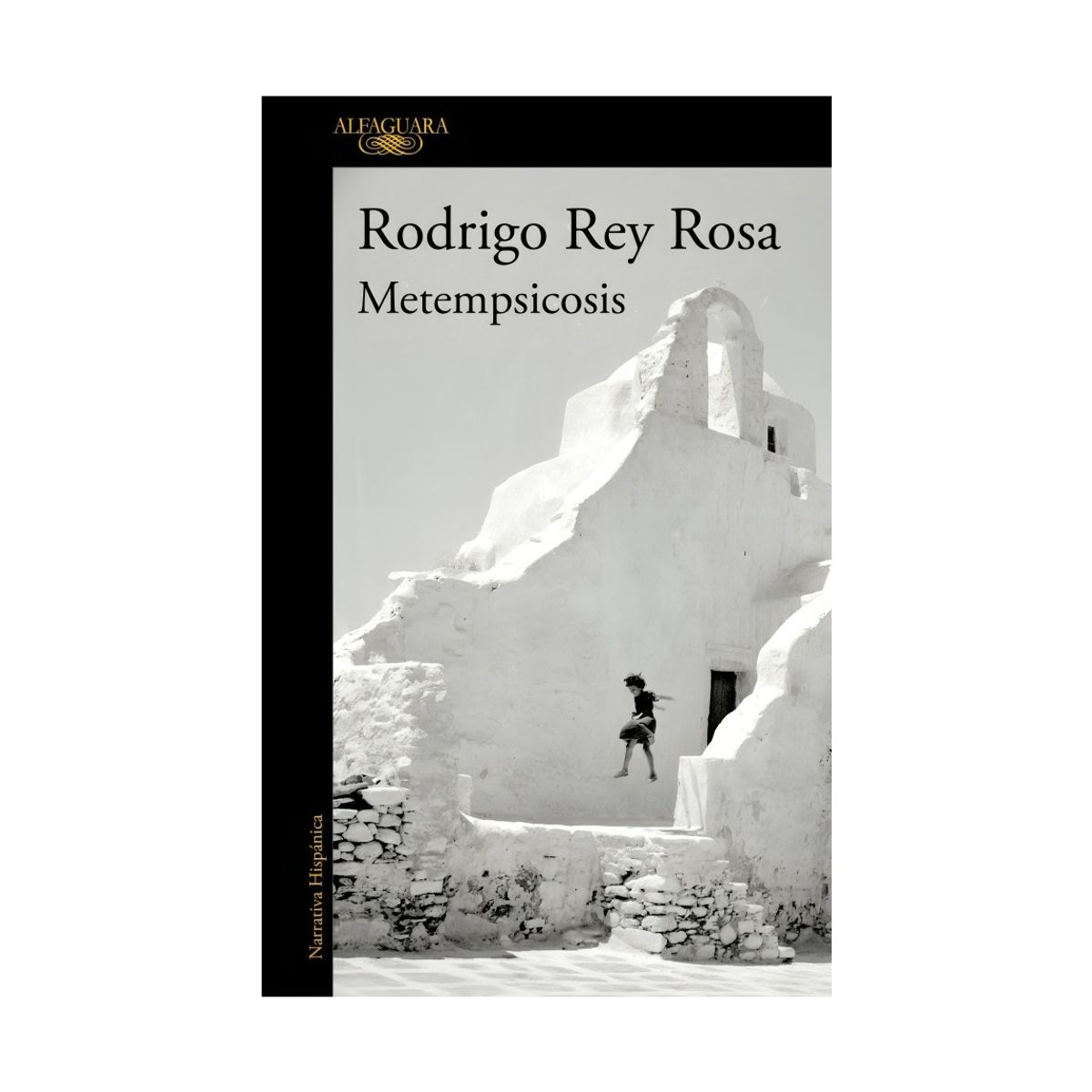 TOP10BOOKS - LIBRO Metempsicosis - Metempsicosis