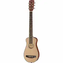 HARLEY BENTON - HB Traveler E-Steel