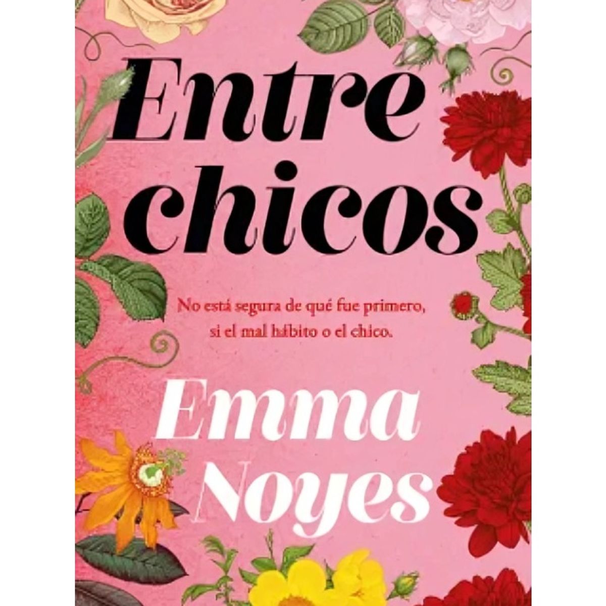 TOP10BOOKS - LIBRO Entre Chicos - Entre Chicos