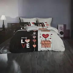 GENERICO - JUEGO DE SABANAS 2.5 PLAZAS KING MY LOVE 638