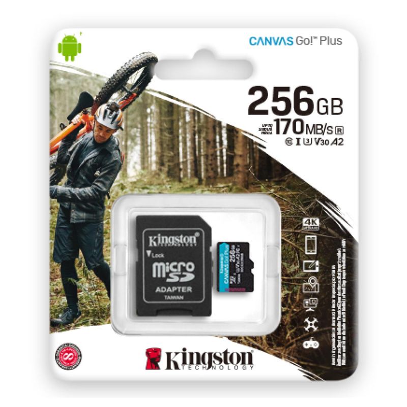 KINGSTON - Tarjeta De Memoria Micro Sd 256Gb Go Plus 170R V30 Kingston