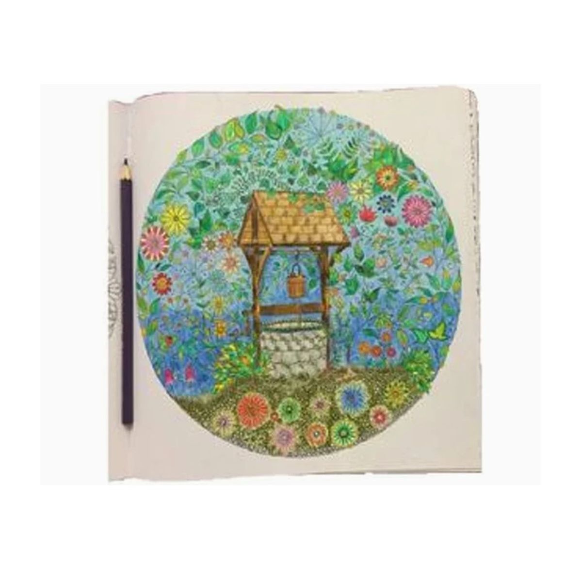 GENERICO - Libro Para Colorear 245cm Colorido