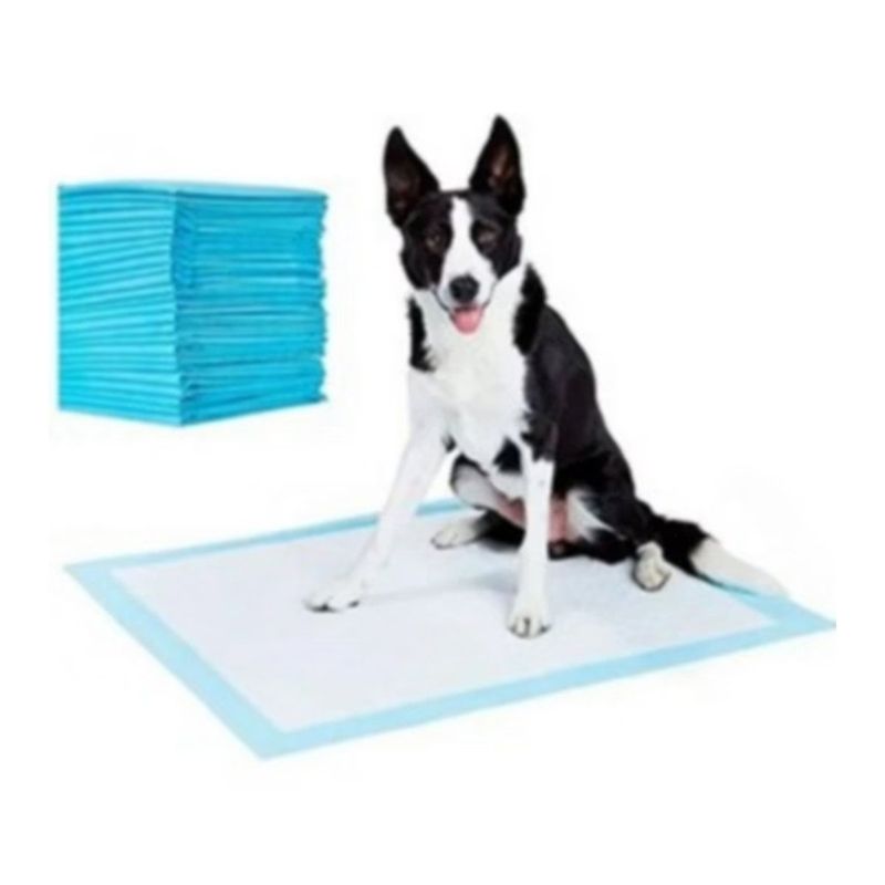 GENERICO - Pañales Sabanilla Pack x 40 para Mascota 60 x 60 Cms