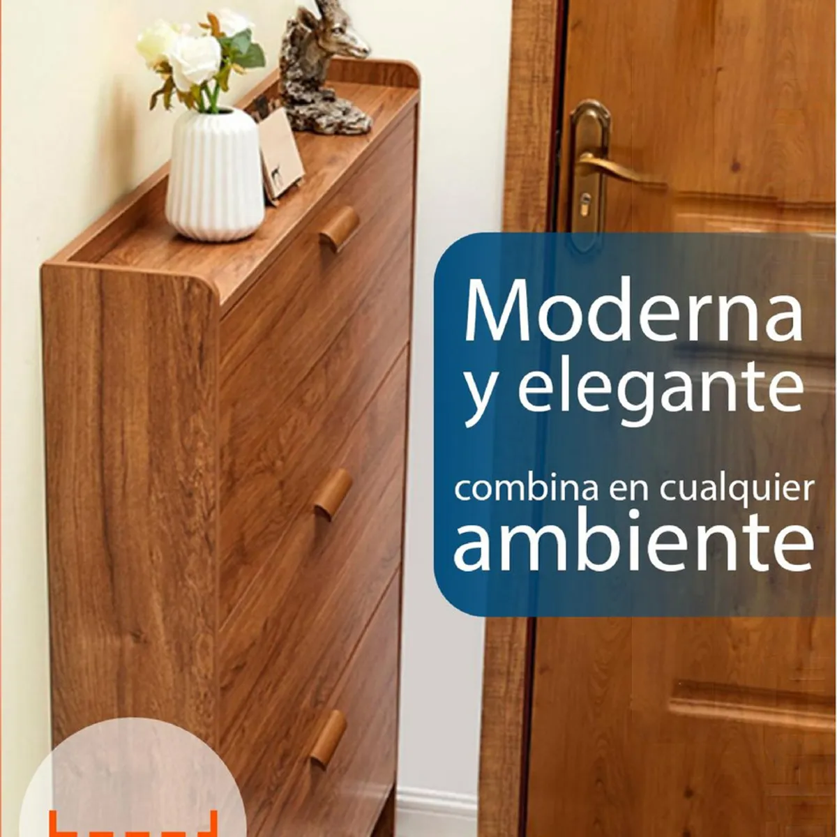 ANYHOGAR - Zapatera Organizadora Vtrin