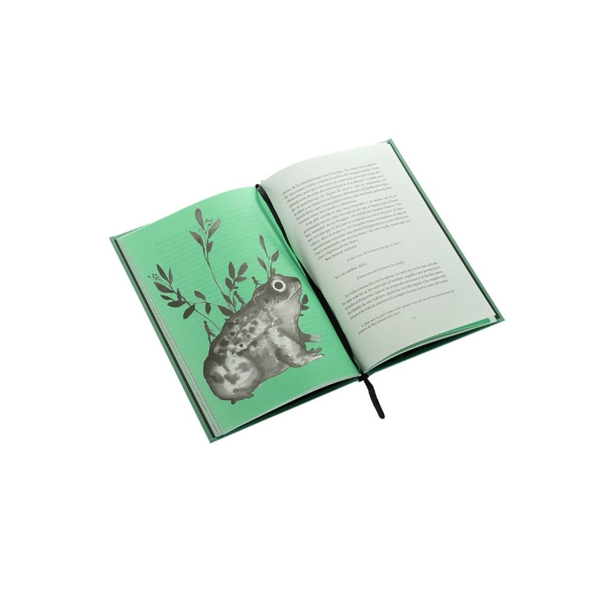 ALMA - Libro CAMINAR HD THOREAU