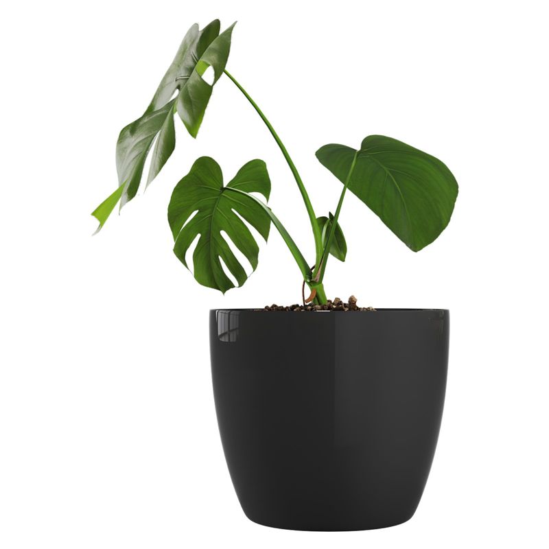 AMALFI - Pack Mayorista X10 Maceteros De Plástico 27x23 cm 9,5 Litros Negro
