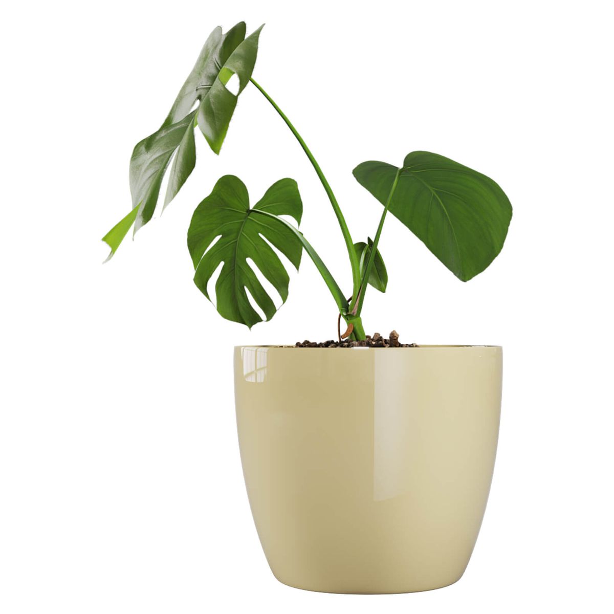 AMALFI - Pack Mayorista X10 Maceteros De Plástico 27x23 cm 9,5 Litros Beige