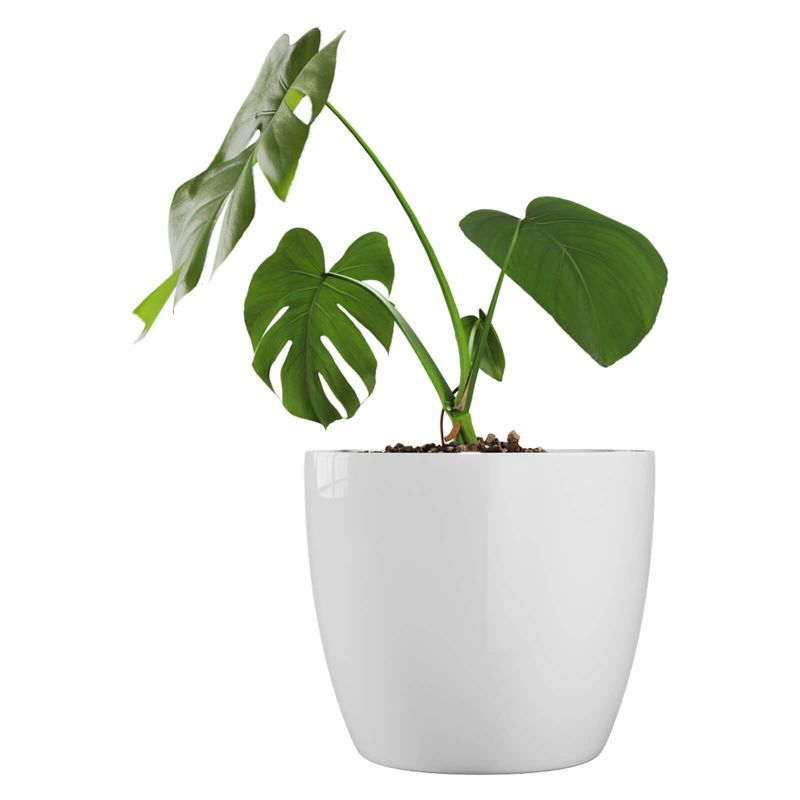 AMALFI - Pack Mayorista X10 Maceteros De Plástico 27x23 cm 9,5 Litros Blanco