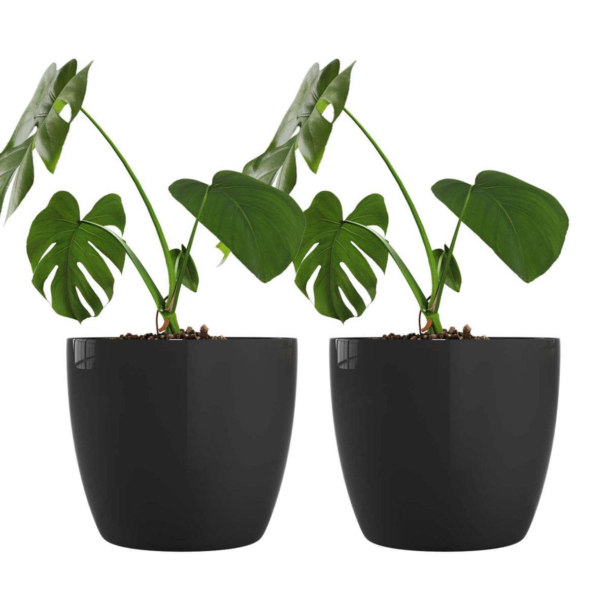 AMALFI - Pack X2 Maceteros De Plástico Premium 27x23 cm 9,5 Litros Negro