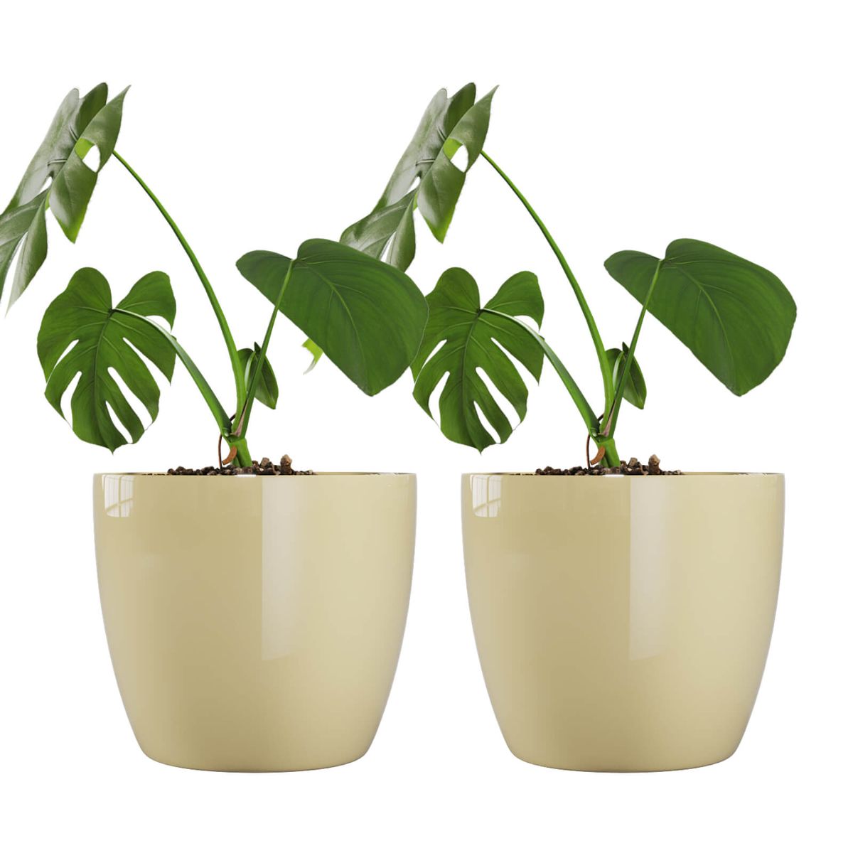 AMALFI - Pack X2 Maceteros De Plástico Premium 27x23 cm 9,5 Litros Beige