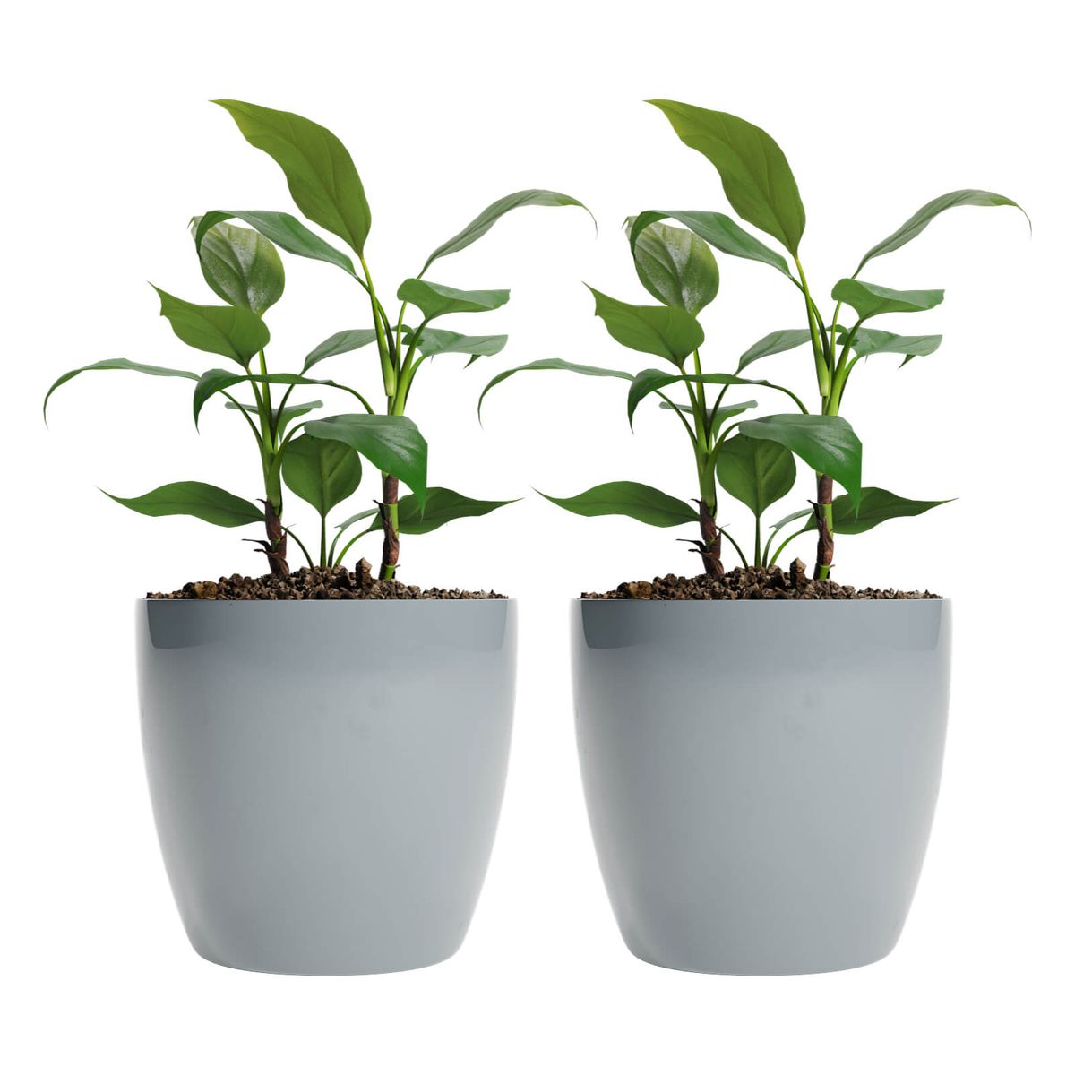 AMALFI - Pack X2 Maceteros De Plástico Premium 22x19,6 cm 5,3 Litros Gris