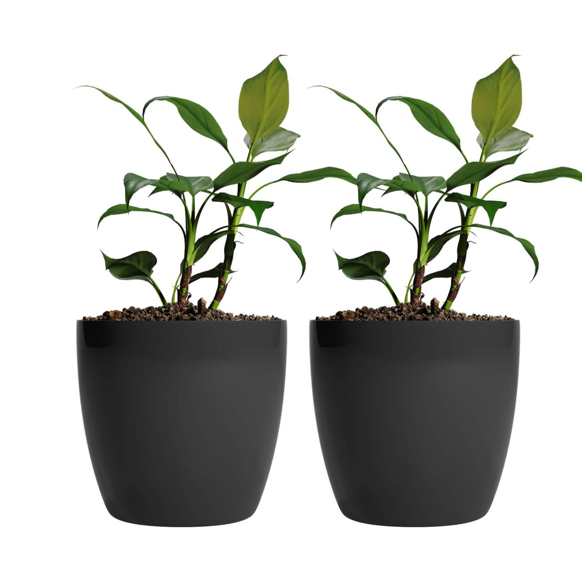 AMALFI - Pack X2 Maceteros De Plástico Premium 22x19,6 cm 5,3 Litros Negro