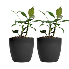 AMALFI - Pack X2 Maceteros De Plástico Premium 22x19,6 cm 5,3 Litros Negro