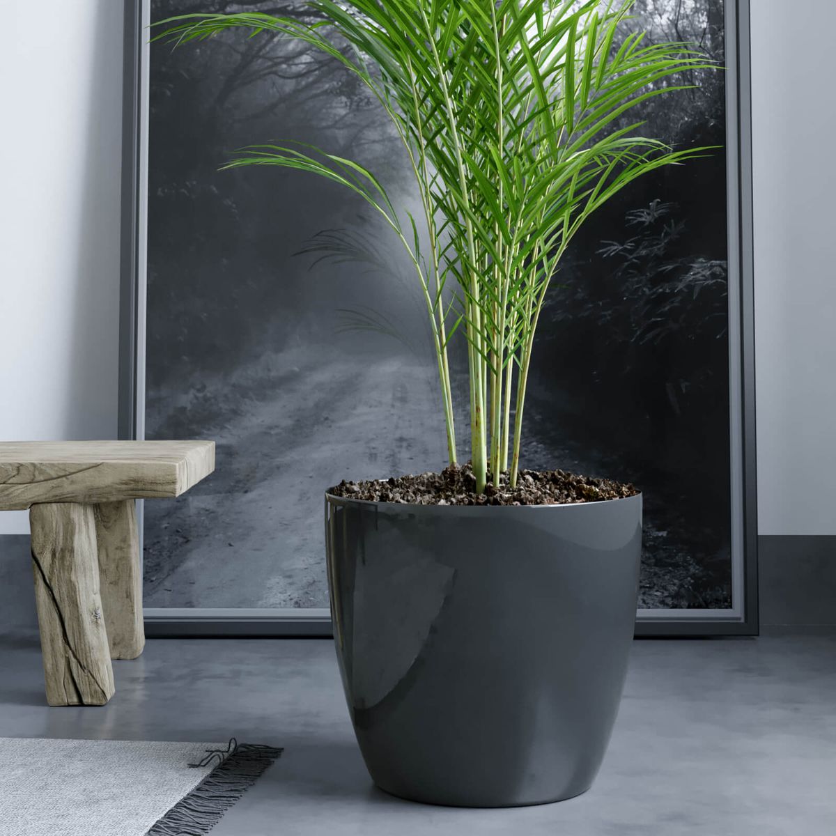 AMALFI - Pack X2 Maceteros De Plástico Premium 22x19,6 cm 5,3 Litros Negro