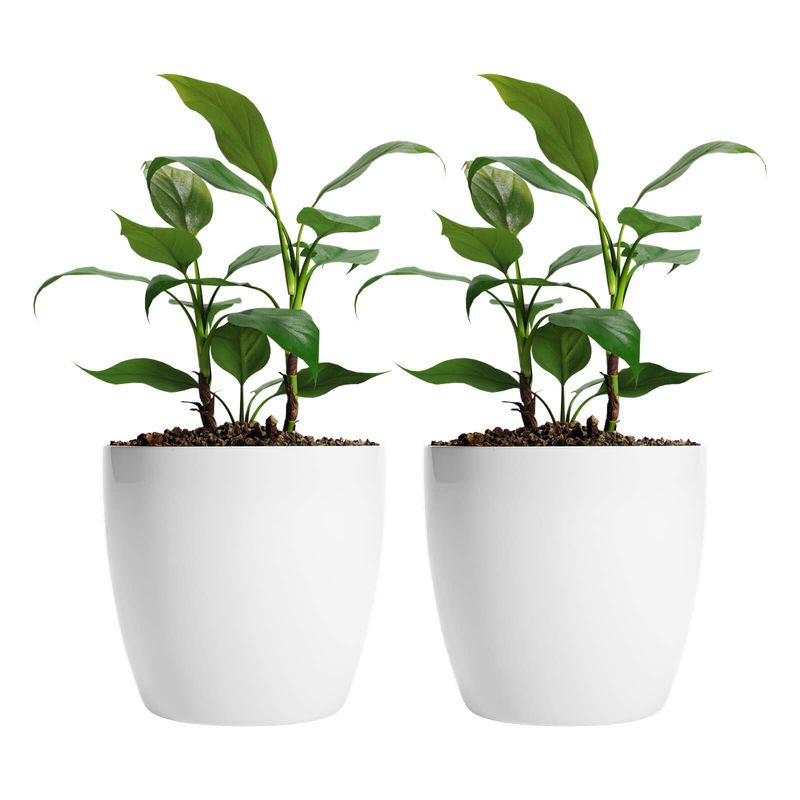 AMALFI - Pack X2 Maceteros De Plástico Premium 22x19,6 cm 5,3 Litros Blanco