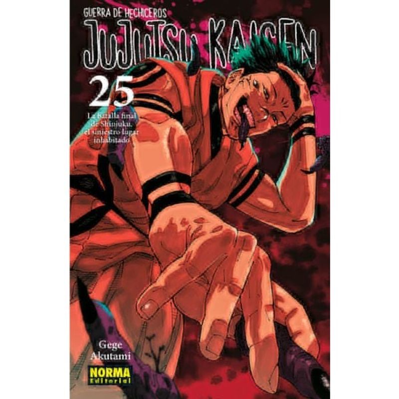 EDITORIAL NORMA - Jujutsu kaisen 25