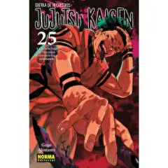 EDITORIAL NORMA - Jujutsu kaisen 25