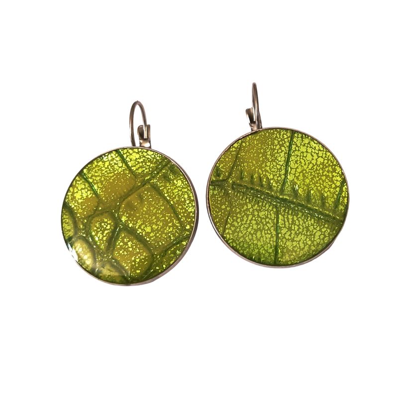 CATHALIFAUDJOYAS - aros ecocuero acero cathalifaudjoyas