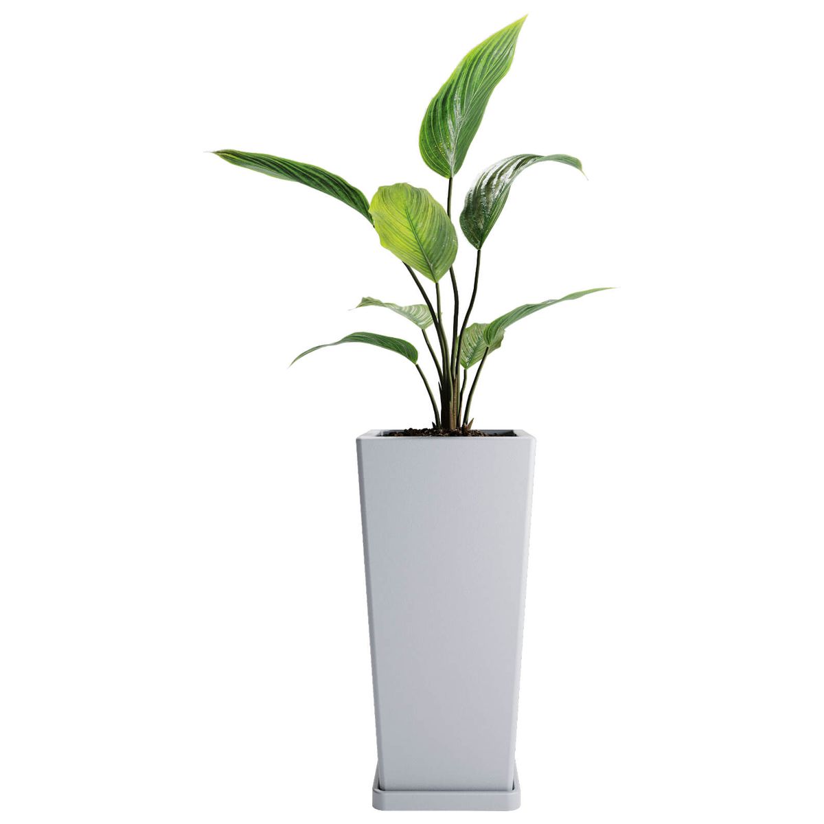 AMALFI - Macetero De Plástico Piramidal 55x27 Cm 30 Litros Con Plato Color Perla