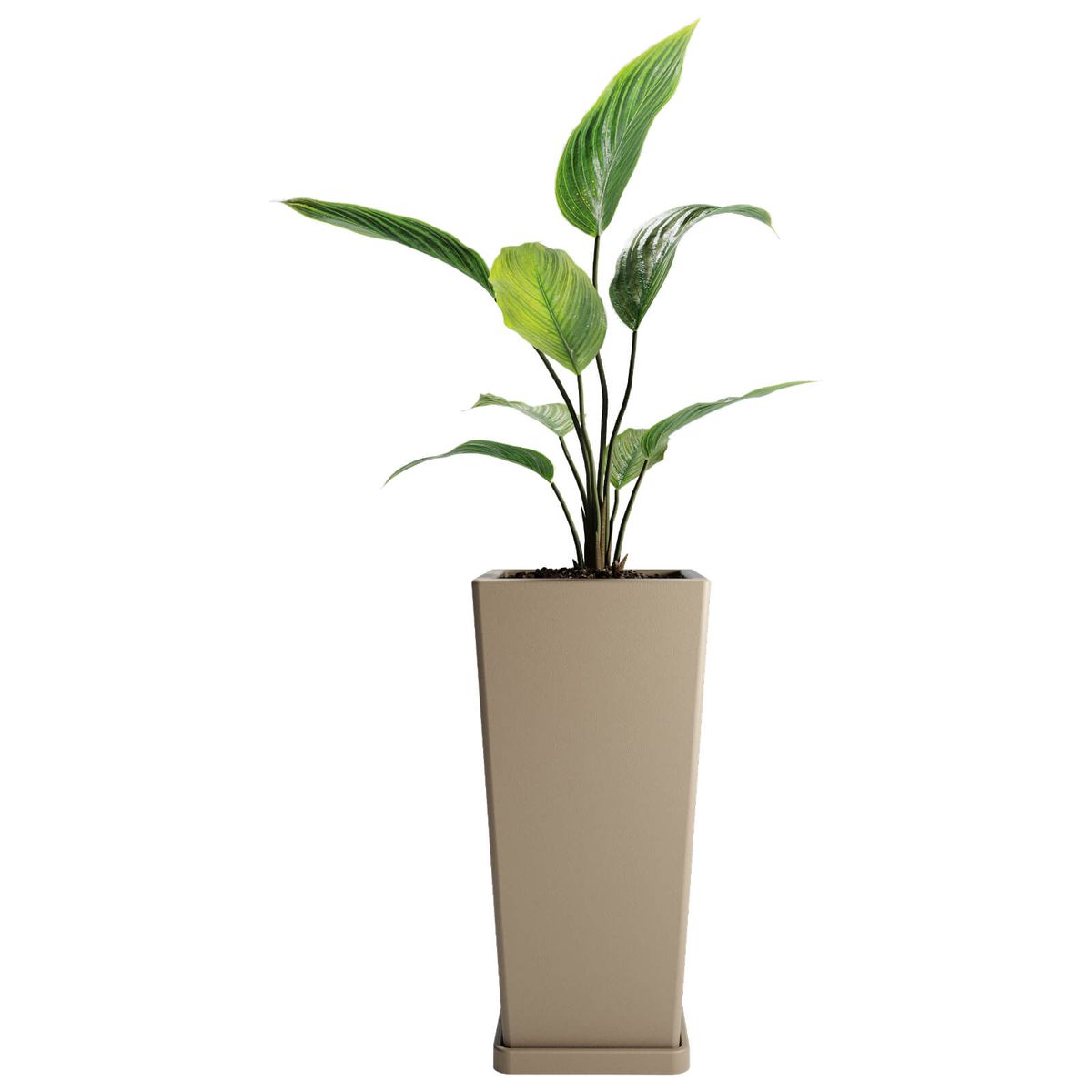 AMALFI - Macetero De Plástico Piramidal 55x27 Cm 30 Litros Con Plato Color Beige