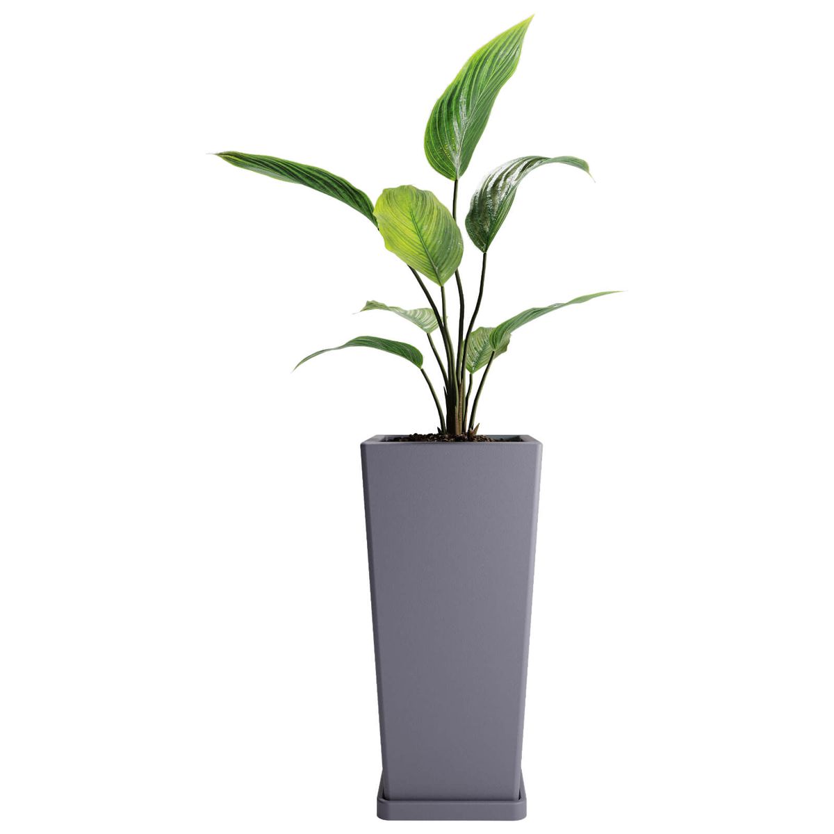 AMALFI - Macetero De Plástico Piramidal 55x27 Cm 30 Litros Con Plato Color Gris Grafito